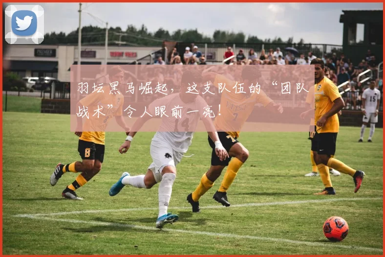 羽坛黑马崛起，这支队伍的“团队战术”令人眼前一亮！