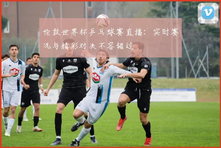 伦敦世界杯乒乓球赛直播:实时赛况与精彩对决不容错过